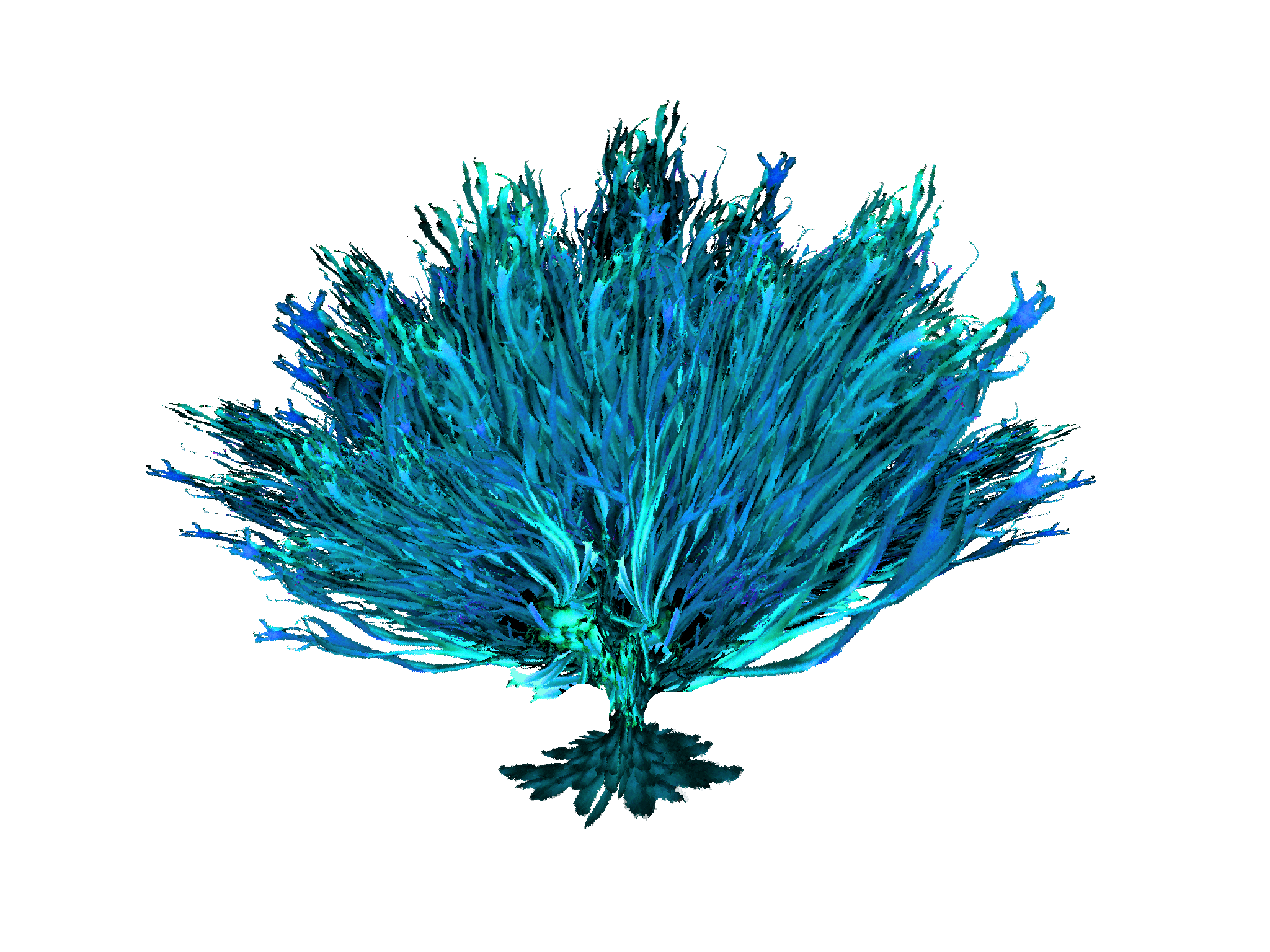 A blue tree with a single green leaf