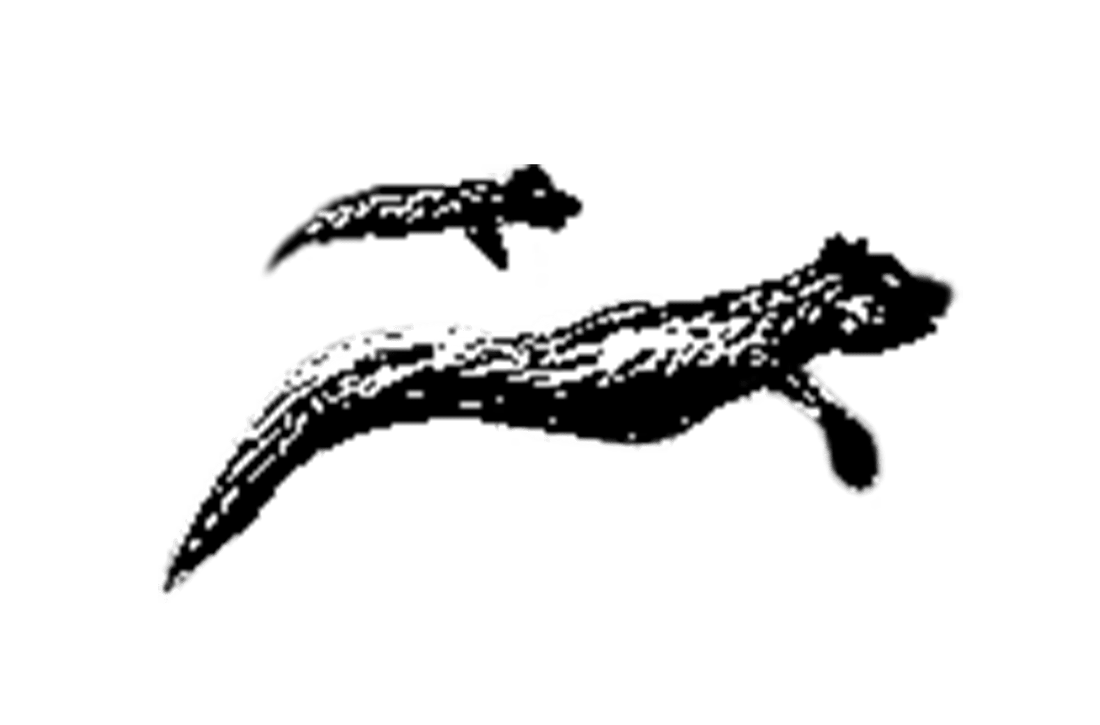 Simple black and white Sliders